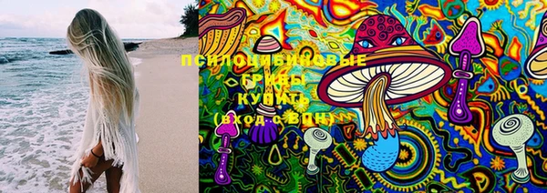 дурь Зарайск